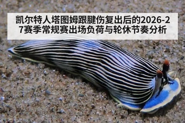 凯尔特人塔图姆跟腱伤复出后的2026-27赛季常规赛出场负荷与轮休节奏分析